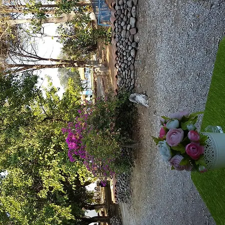 Feriested Ilayda Beach Club *